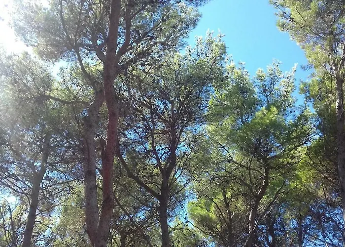 Caravan Near The Sea *